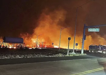 Los escenarios naturales de ‘Parque Jurásico’ o ‘Piratas del Caribe’, arrasados por la oleada de incendios forestale