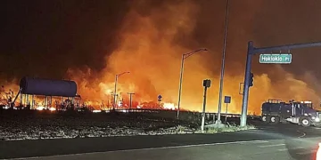 Los escenarios naturales de ‘Parque Jurásico’ o ‘Piratas del Caribe’, arrasados por la oleada de incendios forestale