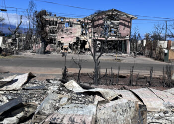 Lahaina, las cenizas de la desolación