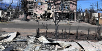 Lahaina, las cenizas de la desolación