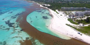 Abinader crea el Gabinete de Lucha Contra el Sargazo