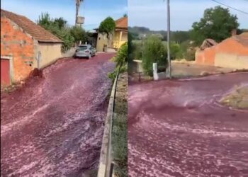 Portugal, al borde de un desastre medioambiental: un río de vino tinto invade las calles de Anadia tras una explosión