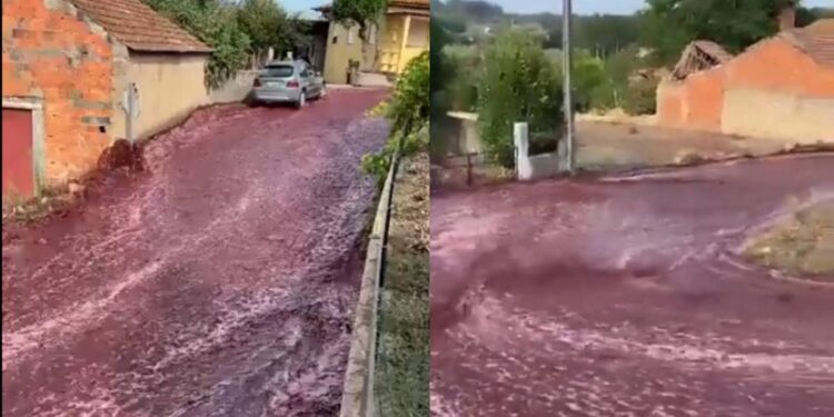 Portugal, al borde de un desastre medioambiental: un río de vino tinto invade las calles de Anadia tras una explosión