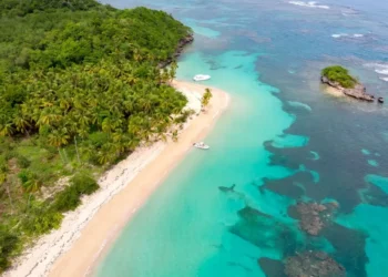 Empresarios españoles destacan recuperación del sector turístico en República Dominicana