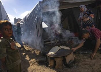 Consejo de Seguridad de ONU aprueba resolución que pide «pausas y corredores humanitarios» en Gaza