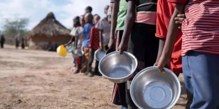 Latinoamérica no logrará objetivos contra el hambre e inseguridad alimentaria, dice la ONU