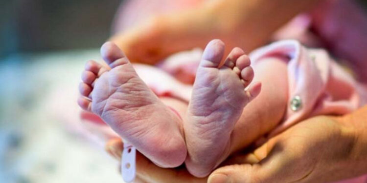 El 80% de las muertes neonatales pueden ser prevenibles