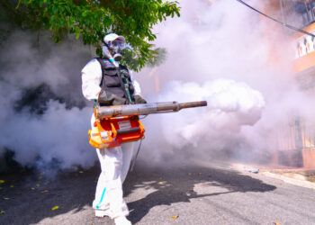 La OPS establece que la participación comunitaria es la clave en la prevención del dengue