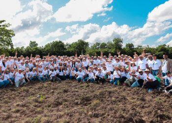 Grupo SID siembra más de 7 mil plantas en jornada de reforestación