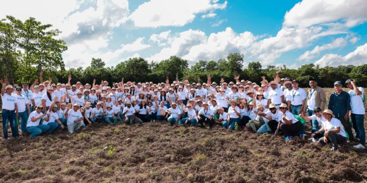 Grupo SID siembra más de 7 mil plantas en jornada de reforestación
