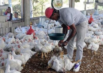 La ADA expresa desacuerdo a proyecto de ley de tasa cero aprobado por la Cámara de Diputados