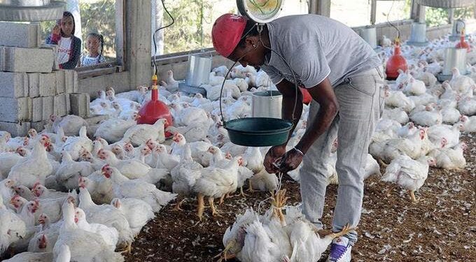 La ADA expresa desacuerdo a proyecto de ley de tasa cero aprobado por la Cámara de Diputados