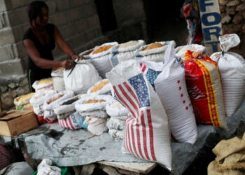 Agricultura activa controles por arroz que llega a Haití desde EEUU con grado de arsénico y cadmio