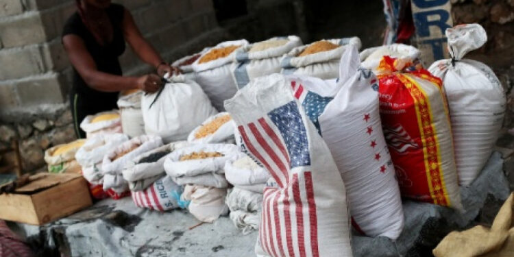 Agricultura activa controles por arroz que llega a Haití desde EEUU con grado de arsénico y cadmio